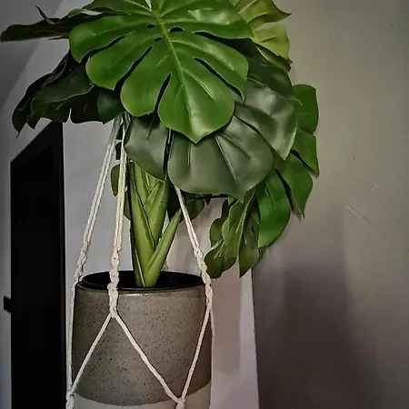 Jelen Zlotow (Greater Poland)