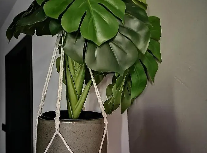 Jelen Zlotow (Greater Poland)